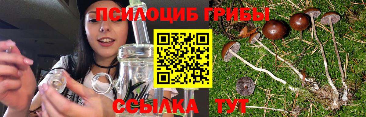 Галлюциногенные грибы мухоморы  Вход с VPN  Астрахань 