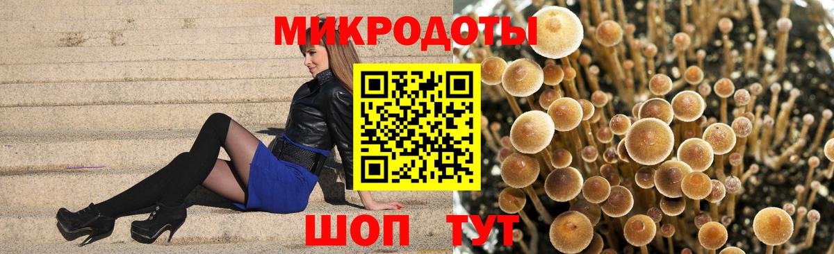 Галлюциногенные грибы Magic Shrooms Астрахань